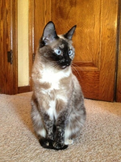 Fundraising Page Image