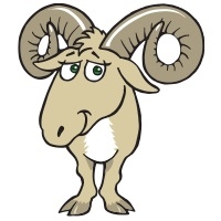 Fundraising Page Image